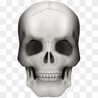 Transparent Transparent Background Skull Png Clipart