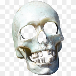 Skull Png Clipart