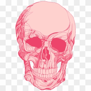 485 X 750 3 - Pink Skull Transparent Clipart