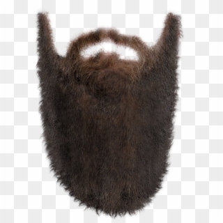 Beard Png - Long Beard Png Clipart