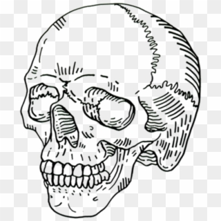 Skull Png Tumblr Cool Blackandwhite Black Whitefreetoed - Aesthetic Skulls Clipart