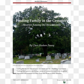 Pin By The In-depth Genealogist On Genealogy Tip Jar - Tree Clipart