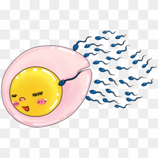 Ivf With Sperm Donation - Circle Clipart