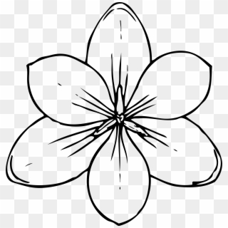 Best Ideas Of Lotus Flower Outline Clipart Illustrations - Flower Top View Drawing - Png Download