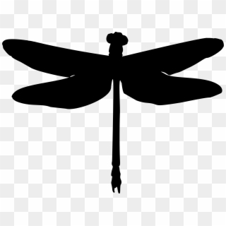 Dragonfly Silhouette Png - Dragonfly Silhouette Clipart