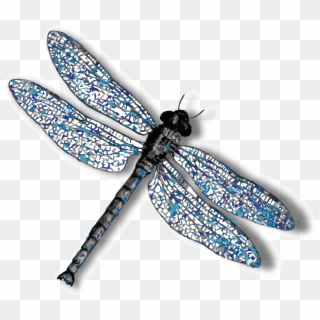 Dragonfly Png Background Image - Dragonfly With No Background Clipart