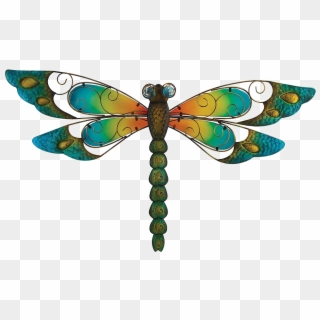 Dragonfly Png Image Clipart