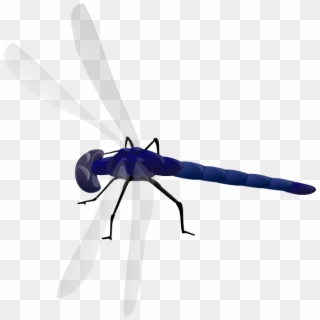 Small - Dragonfly Clipart Gif - Png Download