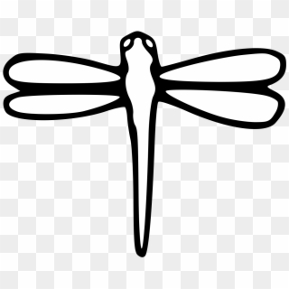 Details, Png - Dragonfly Clipart