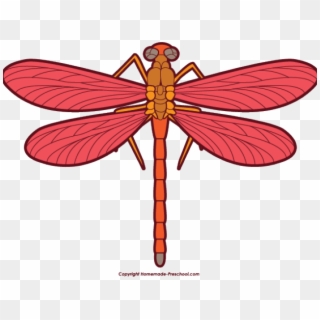 Dragonfly Clipart Hope - Clipart Picture Of Dragonfly - Png Download