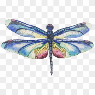 Butterfly Insect Dog - Damselfly Clipart