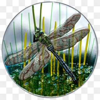 Hand Painted Fused Glass Dragonfly - Fused Glass Dragonfly Clipart