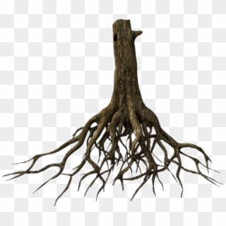 Download - Tree Trunk With Roots Clipart