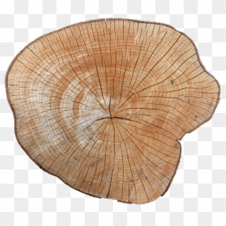 Wood End 01 - Tree Stump Texture Png Clipart