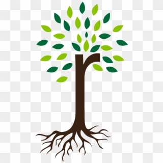 2000 X 2000 20 - Tree With Roots Icon Clipart