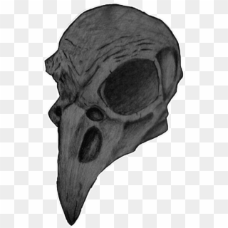 Bird Skull Png - Skull Clipart