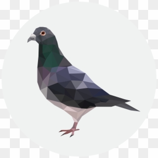 Critical Role Metagaming Pigeon , Png Download - Land Pigeon Clipart
