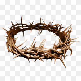 Download Free Crown Of Thorns Png Png Transparent Images Pikpng