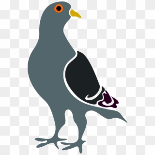 Dove - Pigeon Clipart - Png Download