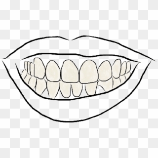Free Png Download Outline Image Of Teeth Png Images - Line Art Clipart