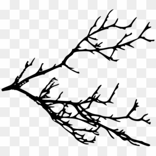 Free Download - Transparent Background Tree Branches Clipart