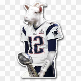 Tom Brady Goat - Goat With Tom Brady Jersey Clipart