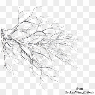 Winter Tree Branch Png Clipart