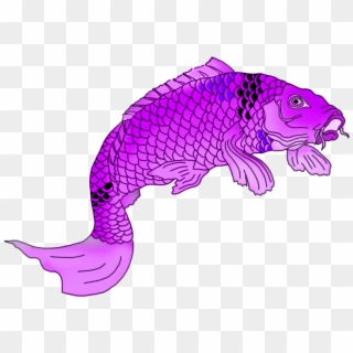 Free Png Download Koi Png Images Background Png Images - Purple Fish Drawing Clipart