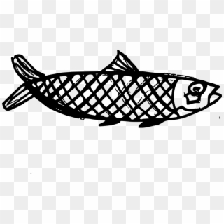 Png File Size - Fish Drawing Transparent Clipart