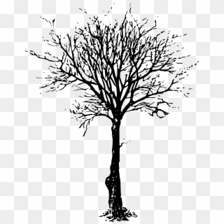 Clipart - Leafless Tree - Black Dead Tree Silhouette - Png Download