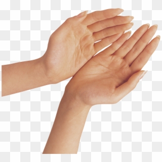 Hand Png Transparent Background - Transparent Background Hands Clipart