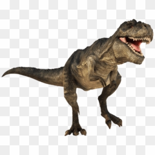Download T-rex Png Images Background - T Rex Dinosaur Png Clipart
