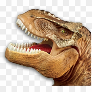 Unlock Your Fun Dinosaur Facts - Tyrannosaurus Clipart