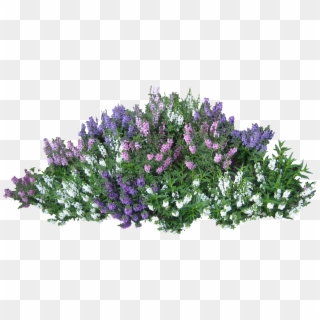 Shrubs Png - Bush With Flowers Png Clipart