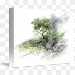 Free Png Download Mind Of Watercolor Trees Png Images - Mind Of Watercolor Trees Clipart