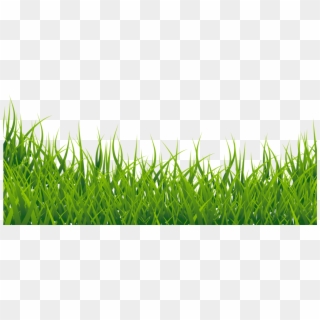 Free Png Grass Vector Png Images Transparent - Grass Png Images Hd Clipart