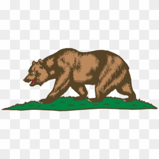 Grizzly Bear Png Clipart