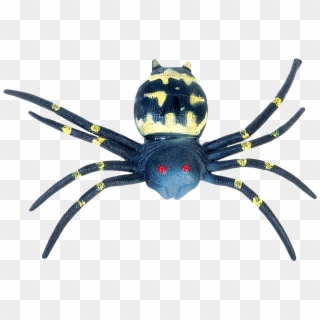 Free Png Spider Png Images Transparent Clipart
