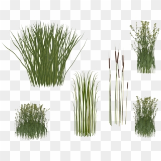 Grasses Png - Grass Clipart