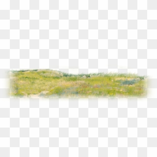 Long Grass Png Clipart