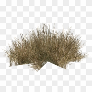 Grass Clipart