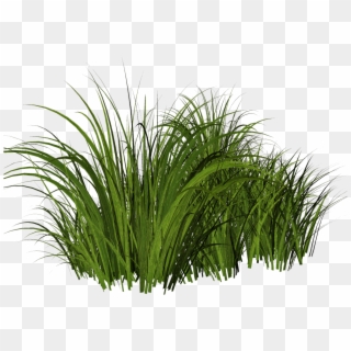 Free Tall Grass Png Clipart
