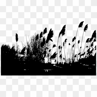 2400 X 1371 31 - Reeds Silhouette Png Clipart