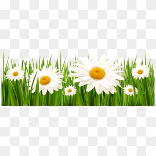 Grass - Hd White Flowers Png Clipart