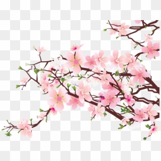 Clipart Nature Transparent Cherry Blossom - Cherry Blossom Transparent Background - Png Download