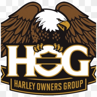 Harley Davidson Hog - Harley Owners Group Hog Logo Clipart