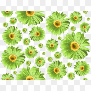 Green Daisies Clipart