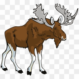 Free Png Download Moose Png Images Background Png Images - Free Clip Art Moose Transparent Png