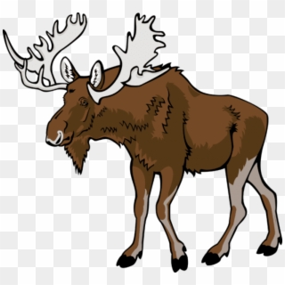 Free Png Download Moose Png Images Background Png Images - Moose Clipart