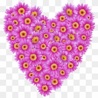 Daisies, Heart, Valentine, Romantic, Floral - Chrysanths Clipart